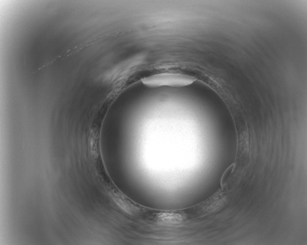 X0000054460234200508051959