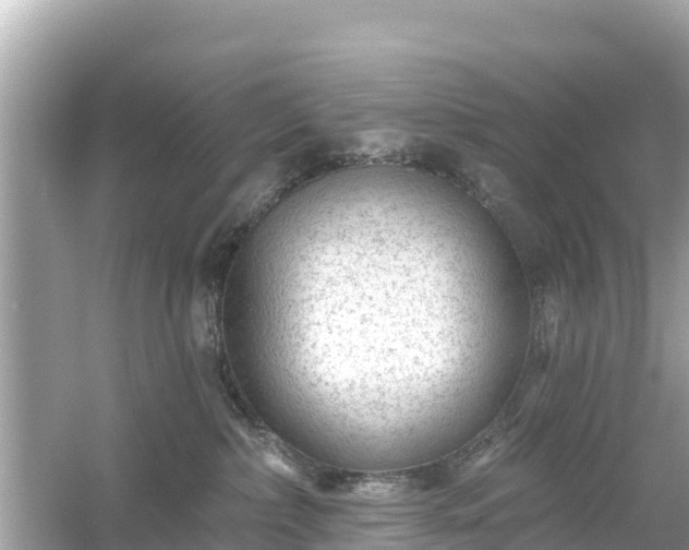 X0000054460236200508051959