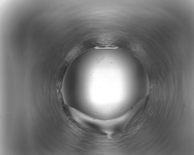 X0000054460237200508051959