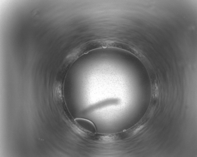 X0000054460238200508051959