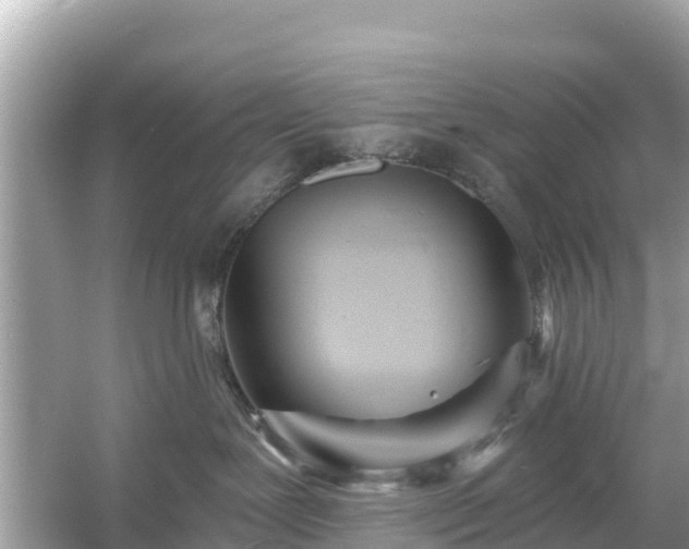 X0000054460239200508051959