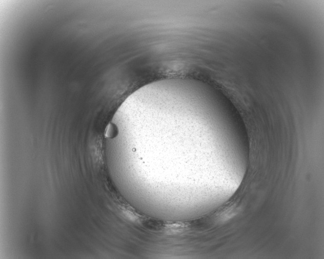 X0000054460240200508051959