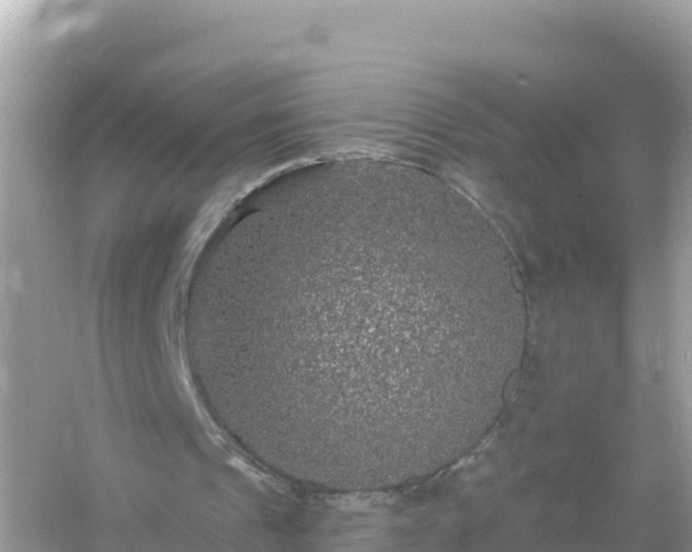 X0000054460241200508051958