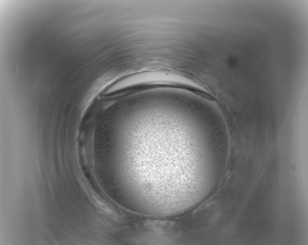 X0000054460242200508051958