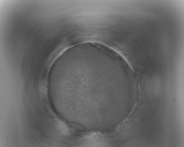 X0000054460243200508051958