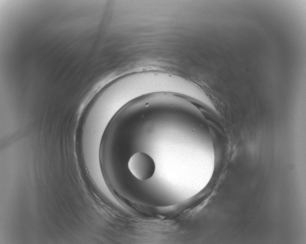 X0000054460244200508051958