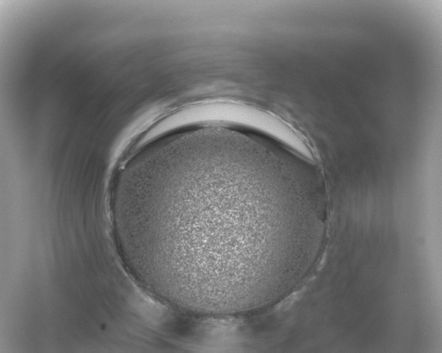 X0000054460245200508051958