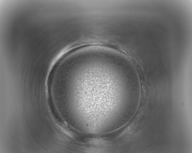 X0000054460246200508051958