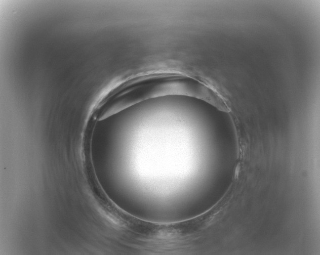 X0000054460248200508051958