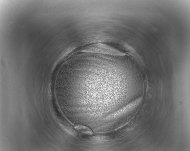 X0000054460250200508051958