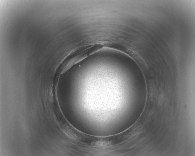 X0000054460251200508051958