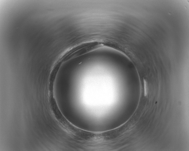 X0000054460252200508051958