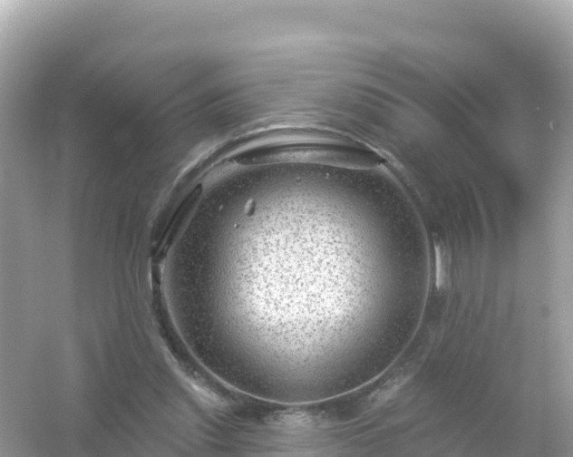 X0000054460253200508051958