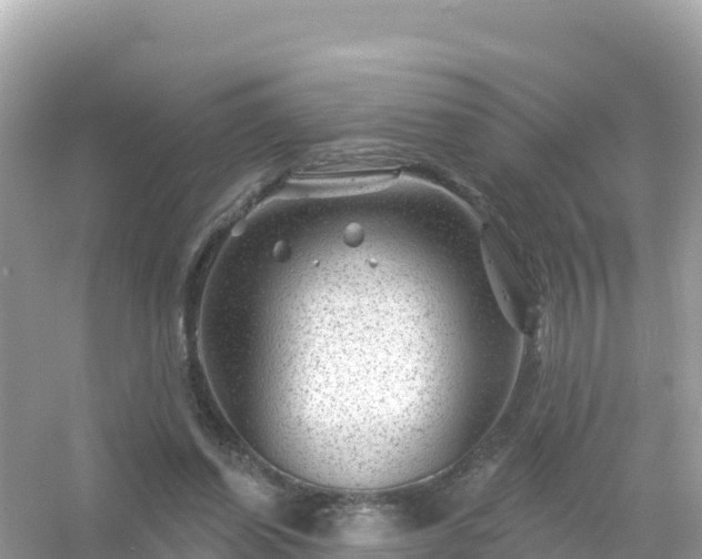 X0000054460254200508051958