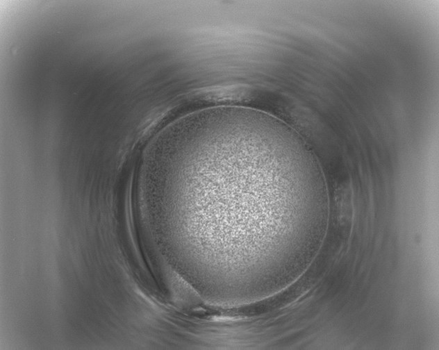 X0000054460255200508051958