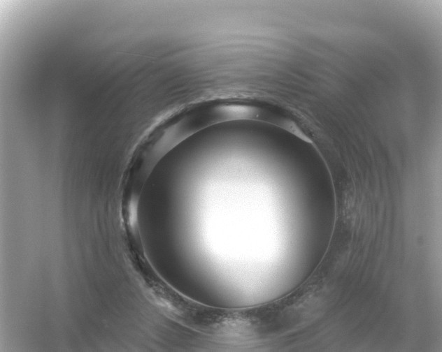 X0000054460256200508051958