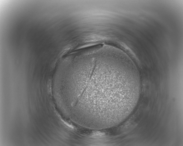 X0000054460257200508051958