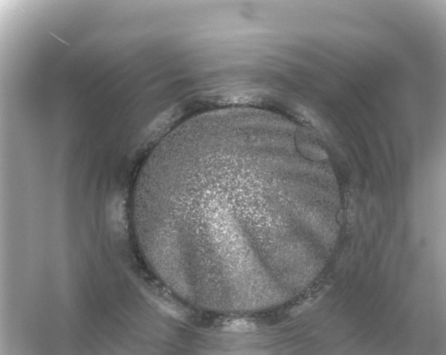 X0000054460258200508051958