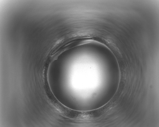 X0000054460260200508051958