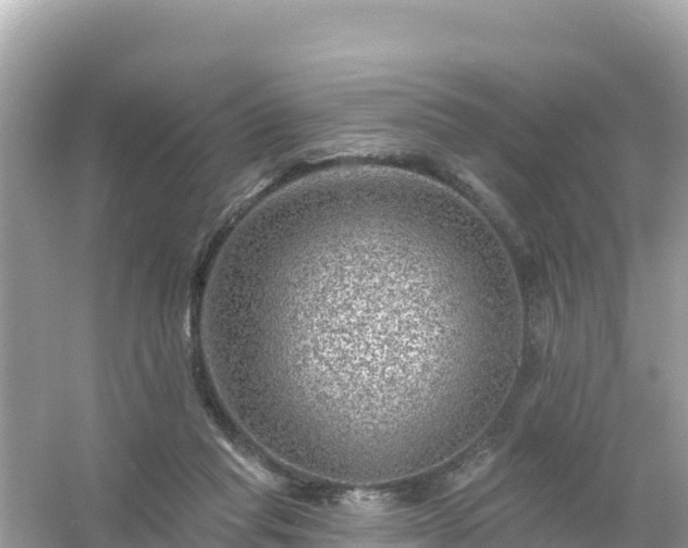 X0000054460261200508051958