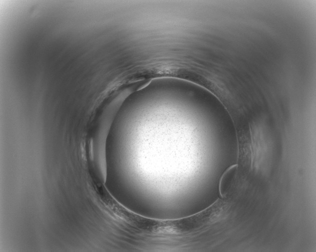 X0000054460262200508051958