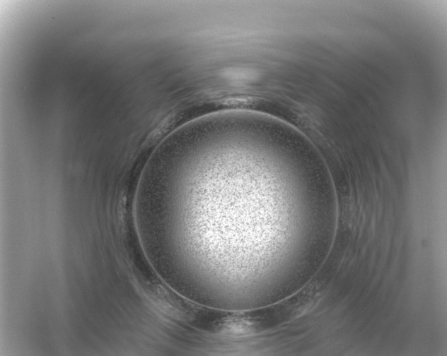 X0000054460263200508051958