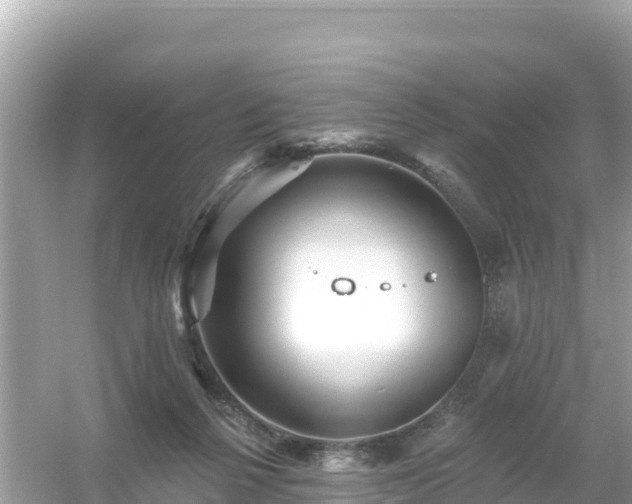 X0000054460264200508051958