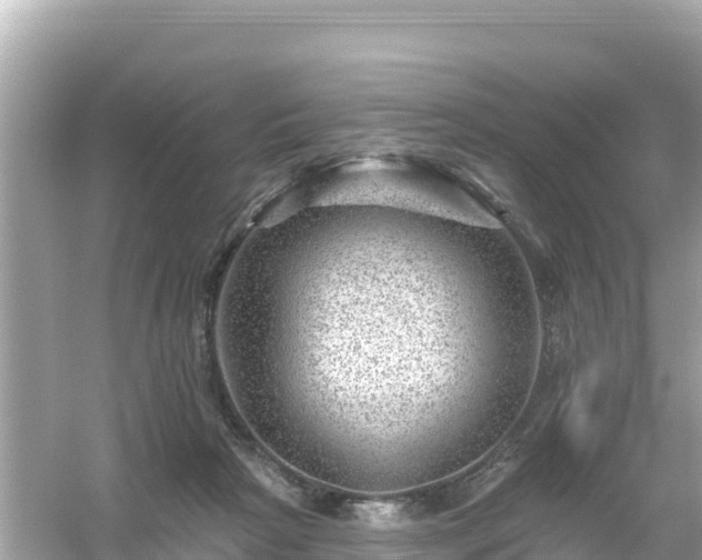 X0000054460265200508051958