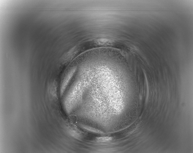 X0000054460266200508051958