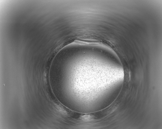 X0000054460269200508051958