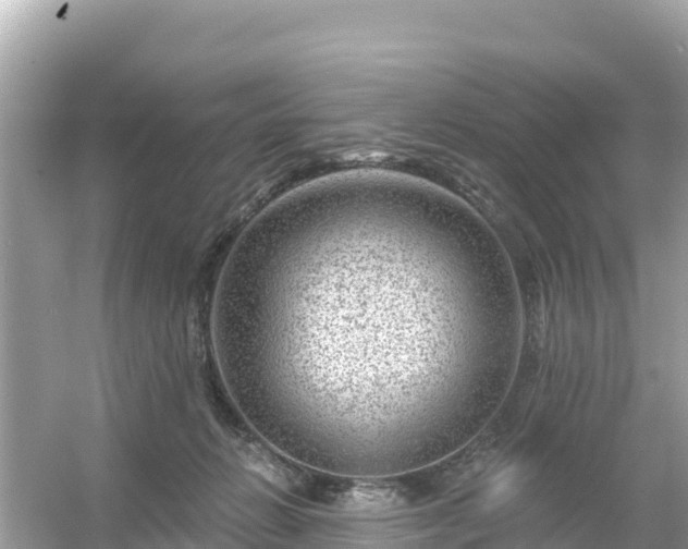 X0000054460270200508051958