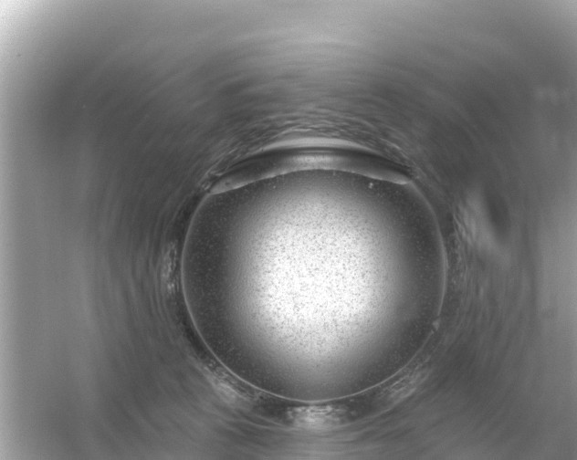 X0000054460273200508051958