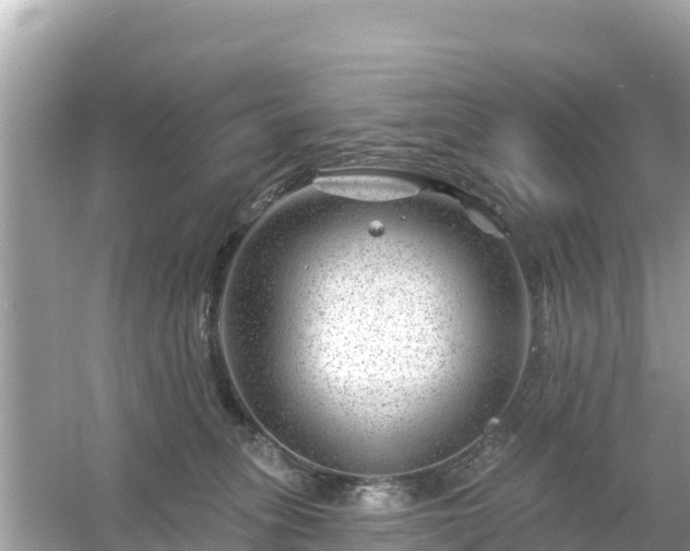 X0000054460275200508051958