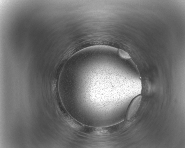 X0000054460278200508051959