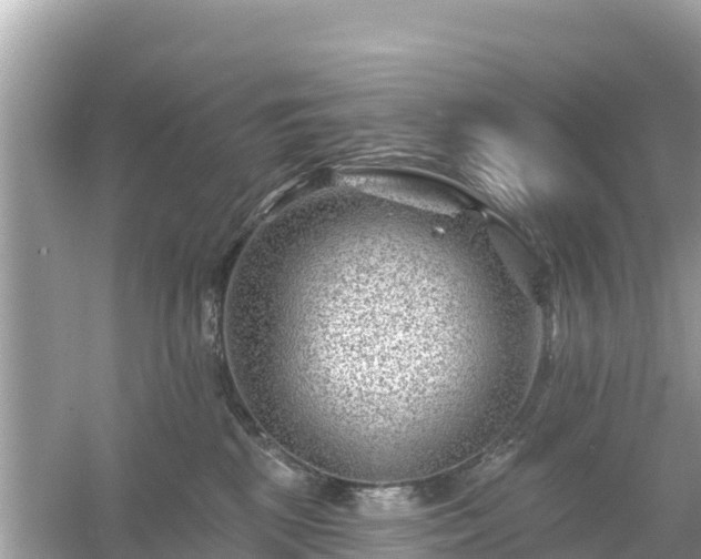 X0000054460281200508051959