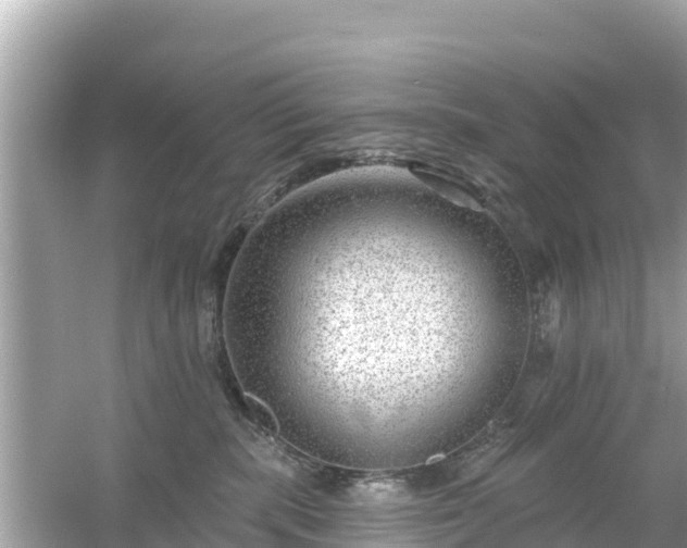 X0000054460283200508051959