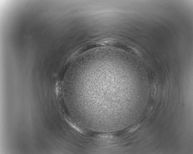 X0000054460284200508051959