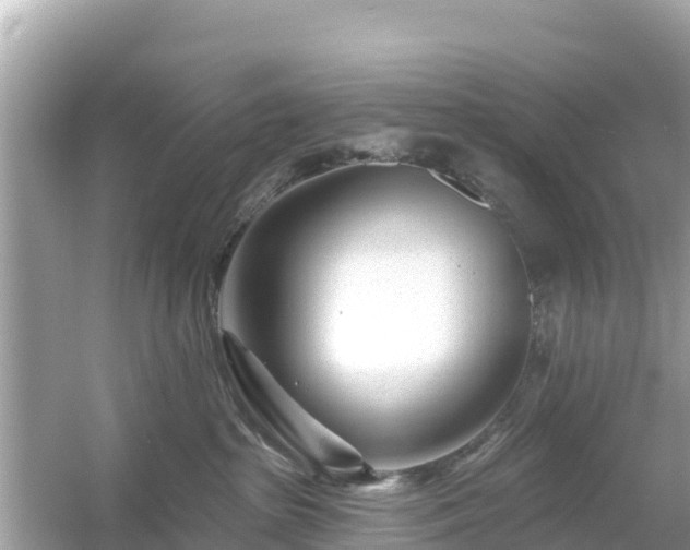 X0000054460285200508051959