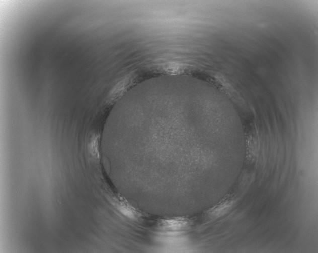 X0000054460286200508051959