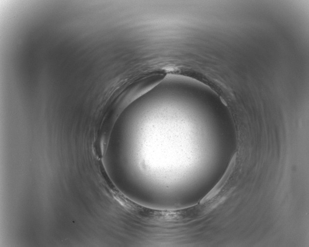 X0000054460288200508051959