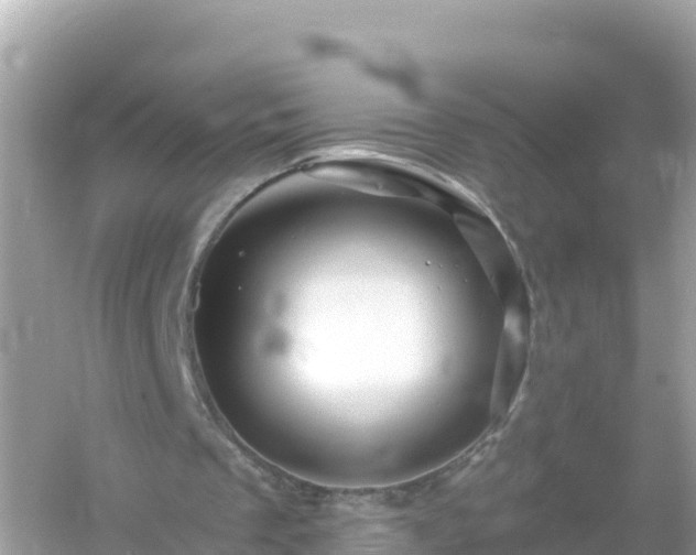 X0000054460289200508051958