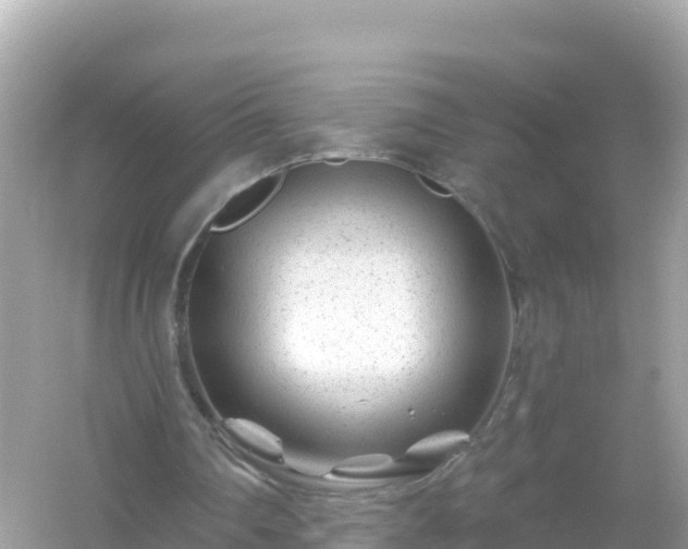 X0000054460290200508051958