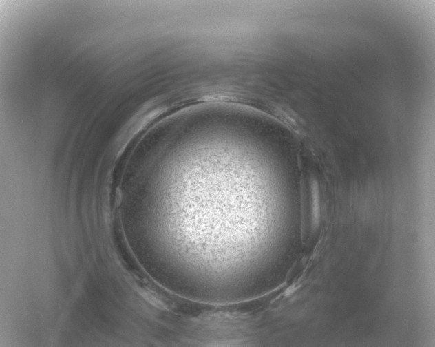 X0000054460291200508051958