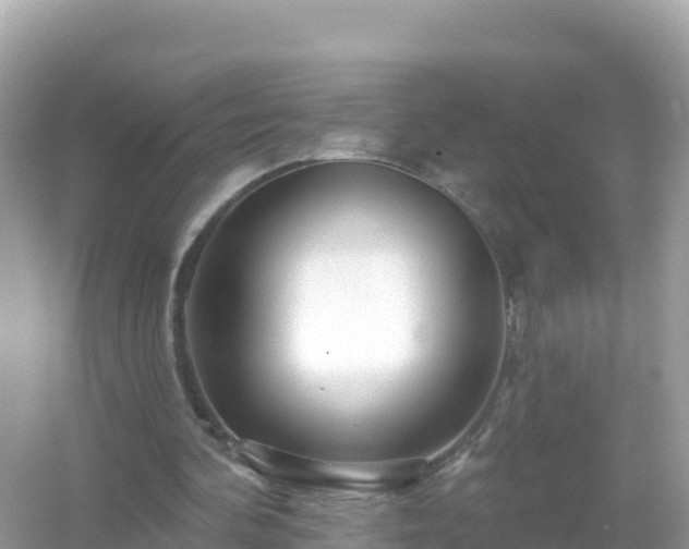 X0000054460292200508051958