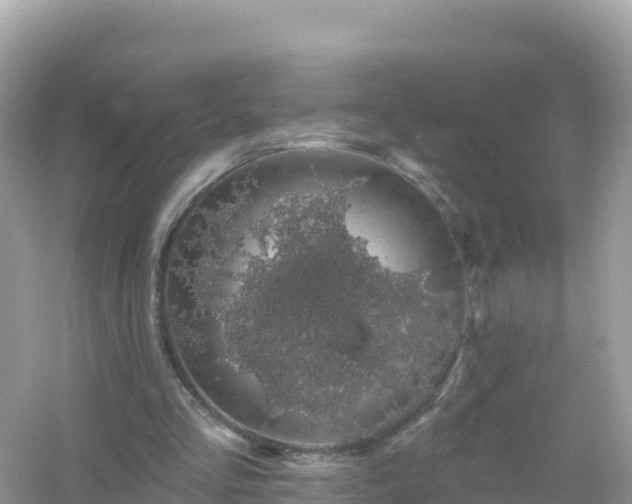 X0000054460293200508051958