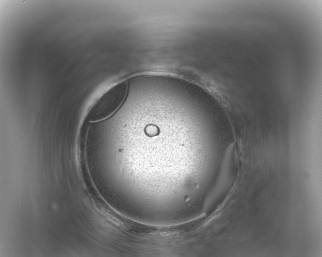 X0000054460294200508051958