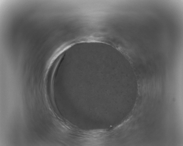 X0000054460295200508051958