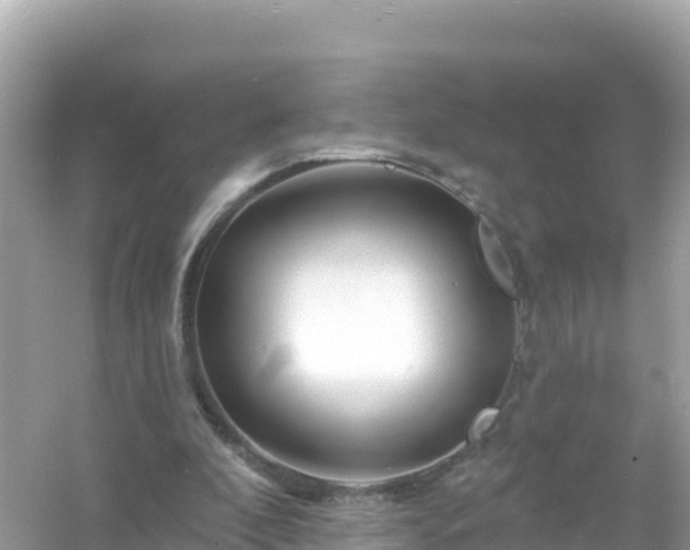 X0000054460296200508051958