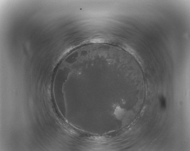 X0000054460297200508051958