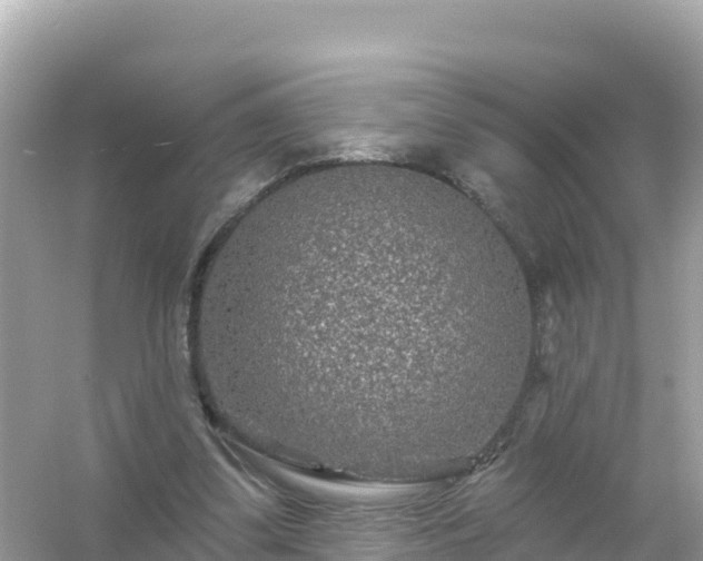 X0000054460299200508051958